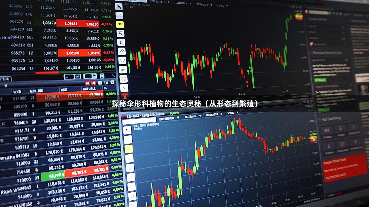 探秘伞形科植物的生态奥秘（从形态到繁殖）