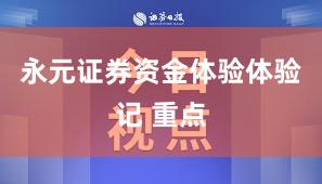 永元证券资金体验体验记 重点
