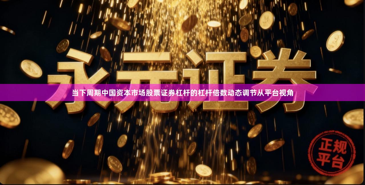 当下周期中国资本市场股票证券杠杆的杠杆倍数动态调节从平台视角